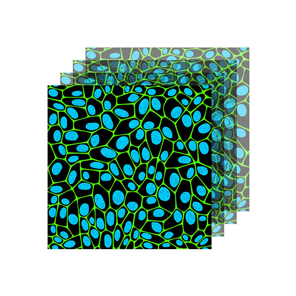 Cell Analysis