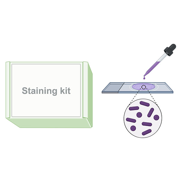 Fluorescent Staining Kits